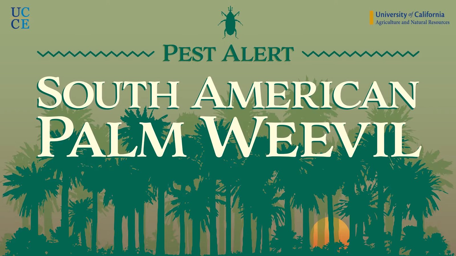 Pest Alert, SAPW